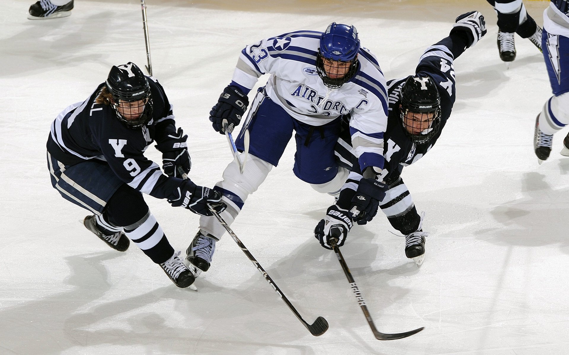 _骑士队年轻血液，逐步成长突破_，骑士队的成员